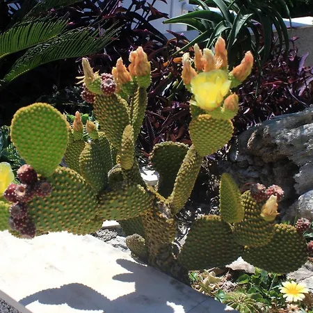 Apartament By The Sea - Perna, Peljesac - 10154 *