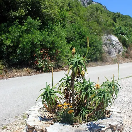 By The Sea - Perna, Peljesac - 10154 Apartament Kuciste