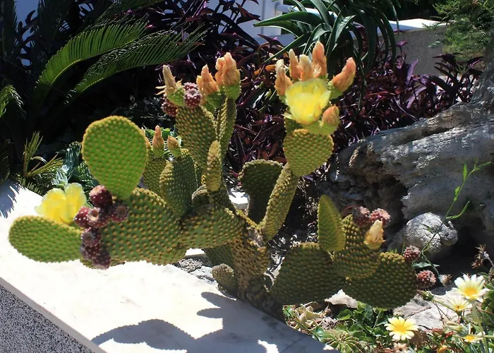 아파트 By The Sea - Perna, Peljesac - 10154 *