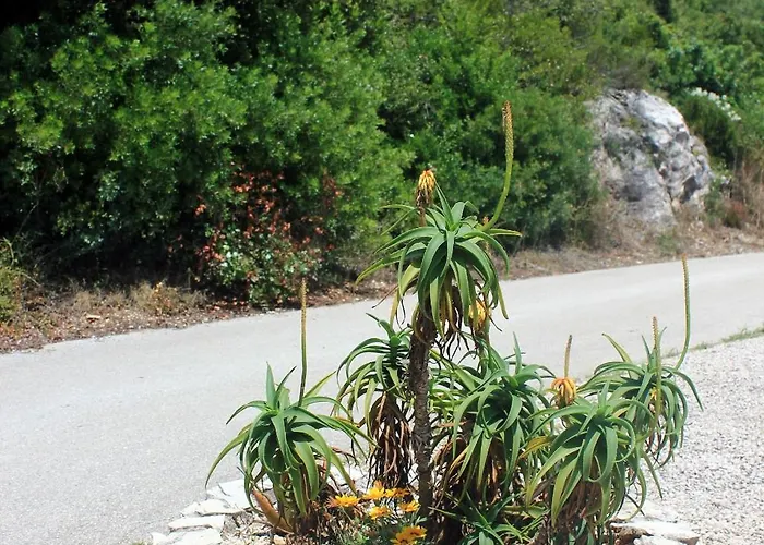 By The Sea - Perna, Peljesac - 10154 아파트 쿠치슈테